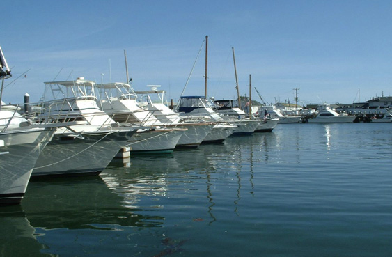 Long Island Marina